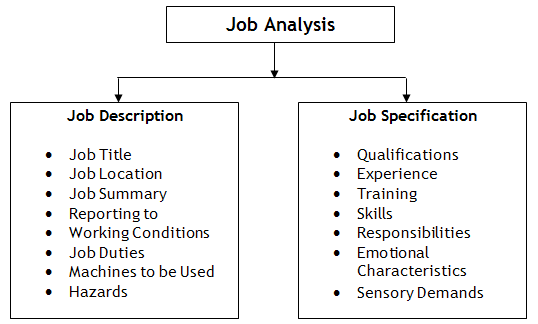 job-description-job-specification-definition-purpose-ppt