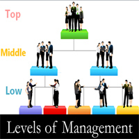 management levels course slides total