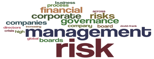 Corporate Risk Governance