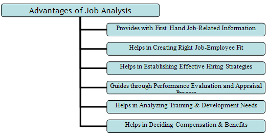 Advantages And Disadvantages Of Job Analysis