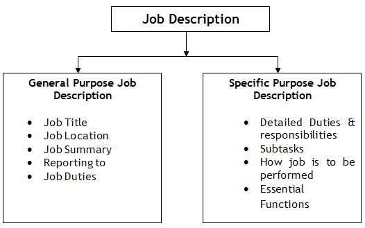 Job Description Purpose