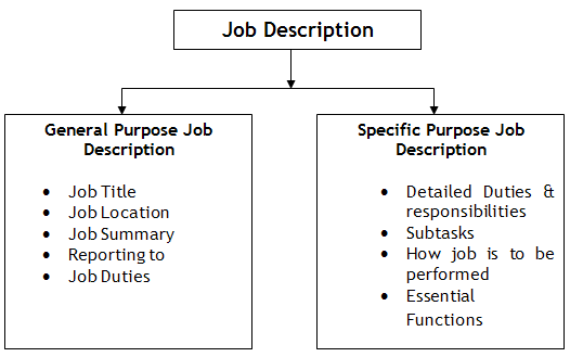 Best Way To Describe Job Responsibilities