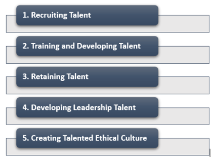 Talent Management Opportunities and Challenges